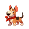 bull terrier lover