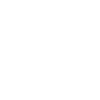 Totenkopf / Skull