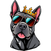 Pitbull King
