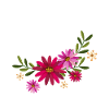 Dolphin With Flowers