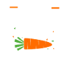 Carrot Vegetables