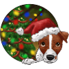 Russel Christmas