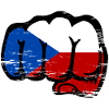 Czech Republic Fist Flag used