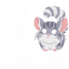 Chinchilla Chinchillas Mouse