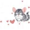 Chinchilla Souris Chinchillas