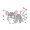 Chinchilla Souris Chinchillas
