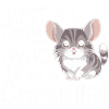 Chinchilla Souris Chinchillas
