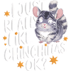 Chinchilla Souris Chinchillas