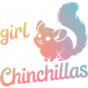 Chinchilla Chinchillas Mouse