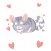 Chinchilla Souris Chinchillas