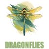 Dragonflies Dragonfly
