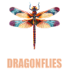 Libellules Libellule