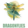 Libellules Libellule