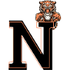 Letter n Tiger - Gift Idea