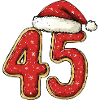 45 Number Christmas Cookie