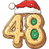 48 Number Christmas Cookie