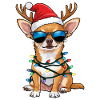 Christmas Chihuahua