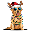 Golden Retriever de Noël