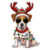 Christmas Jack Russell