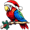Perroquets de Noël