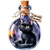 magic cat