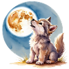 Baby wolf