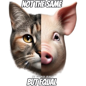 Cat and Pig