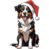 Australian Shepherd Christmas