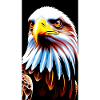 Eagle Front