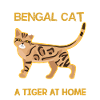 Bengal Cat Lover