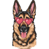 Cool German Shepherd with sunglasses