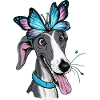 Carton Greyhound with Butterfly