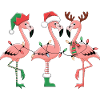 Flamingo Weihnachten