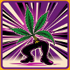 Stoned Striders