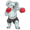 Koala Boxer Boxing Gloves Boxing