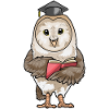 Owl Teacher Book