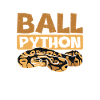 Best ball python dad ever
