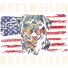 Rottweiler Garde Chien Amoureux Stark