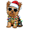 Christmas Yorkshire Terrier
