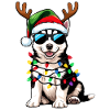 Weihnachts Husky