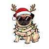 Christmas Pug