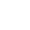 The Bitcoin Experiment