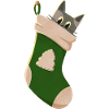 Gray cat in green boot