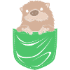 Otter