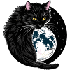 Schwarze Katze
