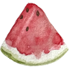 Watermelon slice