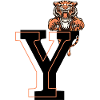 Letter and tiger - gift idea