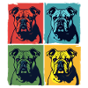 Eine Bulldogge im Pop-Art-Stil