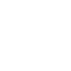 Dachshund - Dog