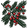 Fir branch branch